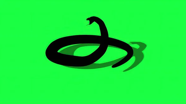 3D图解 具有绿色屏幕背景的Python Snake轮廓 — 图库照片