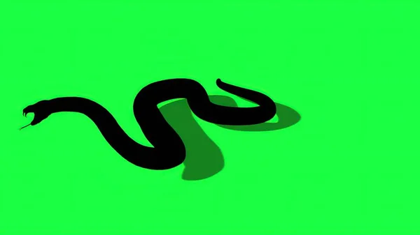 Illustration Silhouette Python Snake Green Screen Background — Stock Photo, Image