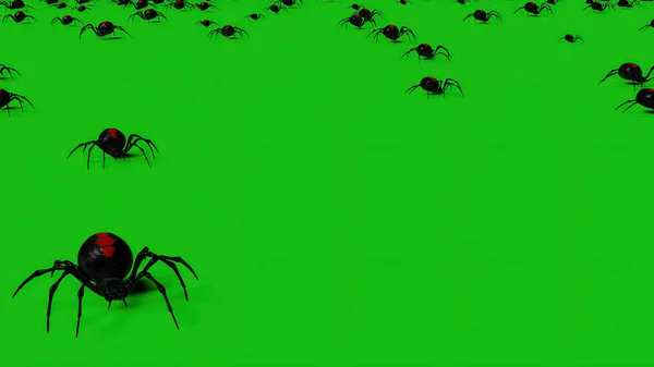 Ілюстрація Павуки Зеленому Екрані Моторошний Повзання — стокове фото