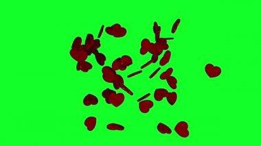 Yeşil ekranda ya da krom anahtarda parlayan kırmızı kalplerin 3 boyutlu modeli. Romantik Aşk Konsepti. 
