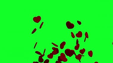 Yeşil ekranda ya da krom anahtarda parlayan kırmızı kalplerin 3 boyutlu modeli. Romantik Aşk Konsepti. 