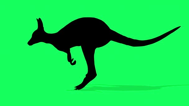 3Dアニメーション 緑の画面上のカンガルーのシルエット クロマキー — ストック動画