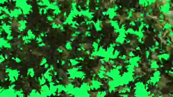 Анимация Осенних Листьев Медленно Падающих Зеленый Экран Осенний Сезон Фон — стоковое видео