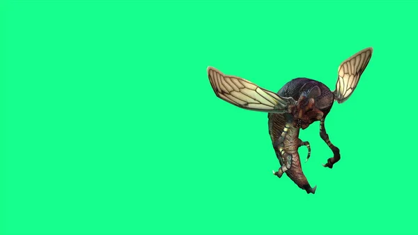 3Dイラスト Bee Wasp ワスプ フライ アタック — ストック写真