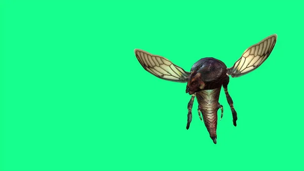 Illustration Bee Wasp Μύγες Και Επίθεση Πράσινο Φόντο — Φωτογραφία Αρχείου