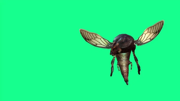 3Dイラスト Bee Wasp ワスプ フライ アタック — ストック写真