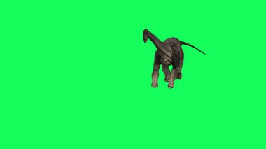 3D illüstrasyon - Brachiosaurus Yeşil Arkaplanda Yürüyor. Jurasik Dünya Dinozorları 