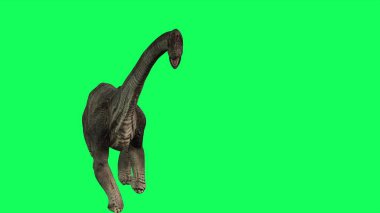 3D illüstrasyon - Brachiosaurus Yeşil Arkaplanda Yürüyor. Jurasik Dünya Dinozorları 