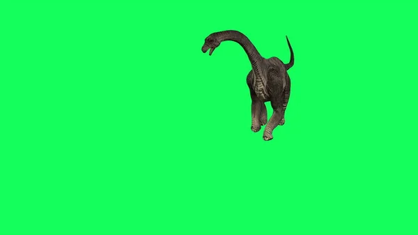 3D图例 腕龙在绿色背景上行走 侏罗纪世界恐龙 — 图库照片