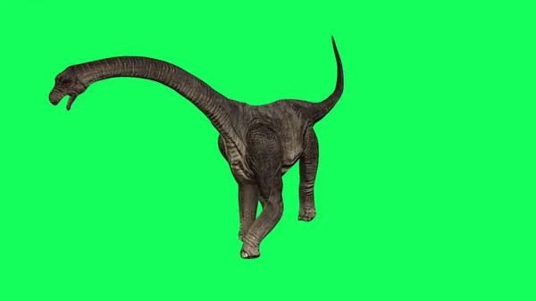 Ilustração Braquiossauro Andando Sobre Fundo Verde Dinossauros Mundo Jurássico — Fotografia de Stock