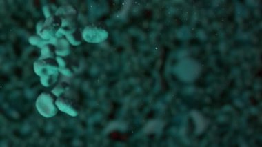 Hasta kırmızı kan hücrelerinin insan damarının içinde akışının animasyonu. Sağlık Sorunu