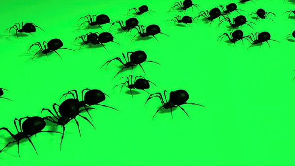 3D插图 绿色背景下的蜘蛛 可怕的爬虫 — 图库照片