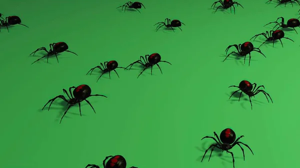 3Dイラスト Spiders Green Background ゾクゾククロール — ストック写真