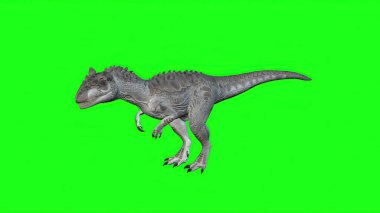 3d illüstrasyon: Allosaurus Yeşil Ekran Arkaplanında Yürüyor. Dinozorlar Dünyası