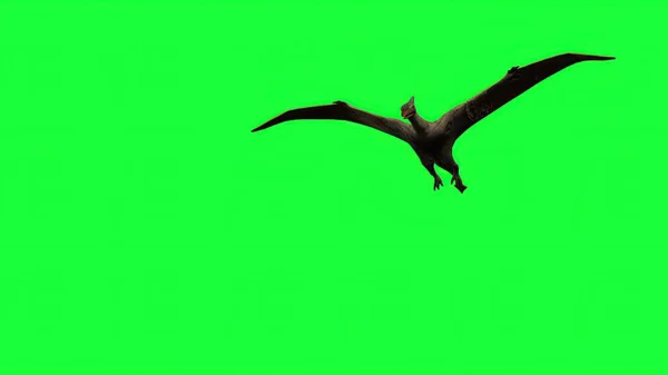 Illustration Pterodaktyl Flyga Grön Skärm — Stockfoto