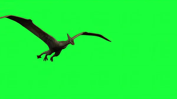 3D示例 绿色屏幕上的翼手龙苍蝇 — 图库照片