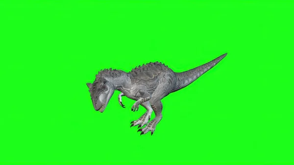 3Dイラスト アロサウルスは緑の画面で歩く背景 恐竜の世界 — ストック写真