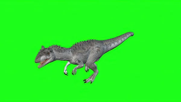 Ilustracja Allozaur Walking Green Screen Tło Świat Dinozaurów — Zdjęcie stockowe