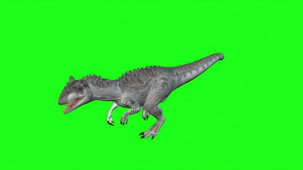 Illüstrasyon Allosaurus Yeşil Ekran Arkaplanında Yürüyor Dinozorlar Dünyası — Stok fotoğraf