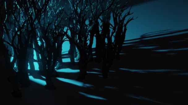 月光下漆黑的夜色森林 — 图库视频影像