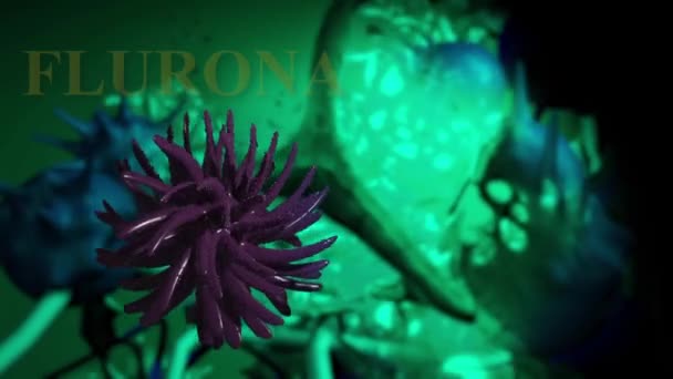 Animação Flurona Infecção Dupla Covid Gripe Coronavírus Mutado Sars Cov — Vídeo de Stock