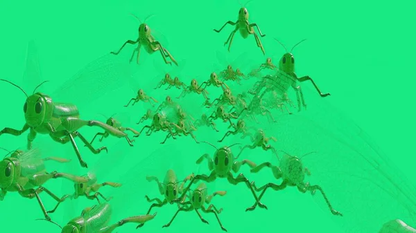 Illustration Featuring Swarm Thousands Locusts Flying Frame Green Screen — 图库照片
