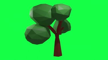 Çizgi film tarzında yeşil ekrandaki bir ağacın düşük poli 3d animasyonu 