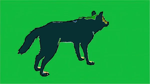 Ilustración Lobo Aislado Pantalla Verde — Foto de Stock