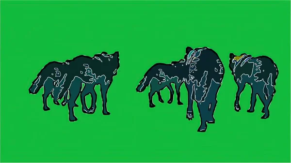 Ілюстрація Вовки Ізольовані Зеленому Екрані — стокове фото