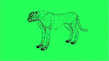 Çizgi roman tarzında 3d illüstrasyon - yeşil ekranda izole edilmiş kablo leoparı