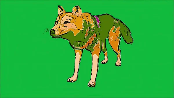 3Dイラスト オオカミが緑の画面で歩く 漫画スタイル — ストック写真