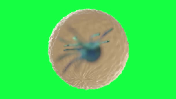 Animation Του Καρκινικού Κυττάρου Στην Πράσινη Οθόνη — Αρχείο Βίντεο