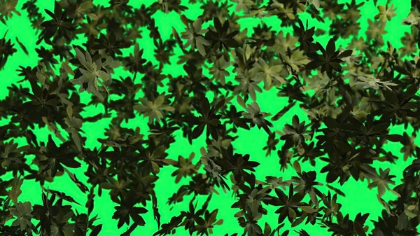 Ilustracja Jesienne Liście Spadające Powoli Zielony Ekran Tło Jesiennego Sezonu — Zdjęcie stockowe