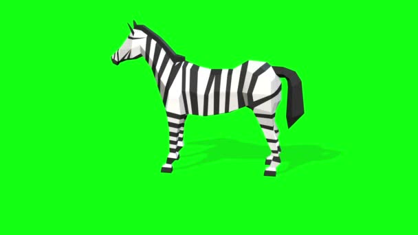 Laag Poly Model Van Zebra Animatie Groen Scherm Achtergrond — Stockvideo