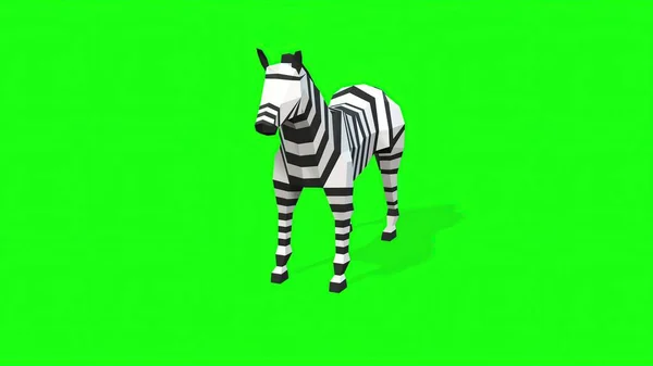 Illustration Low Poly Model Zebra Green Screen Background — Stock Photo, Image