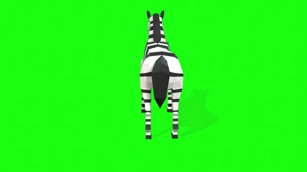 Ilustração Modelo Poli Baixo Zebra Fundo Tela Verde — Fotografia de Stock