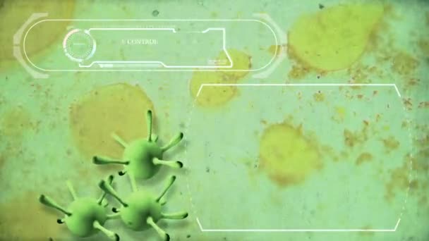 Animație Viruși Sub Microscop Virusul Bacteriilor — Videoclip de stoc