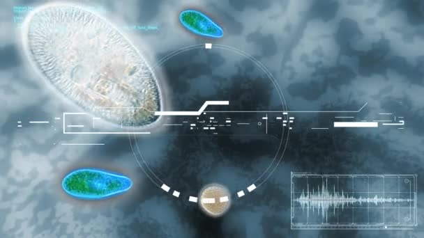 Animation Viruses Microscope Bacteria Virus — Stock Video