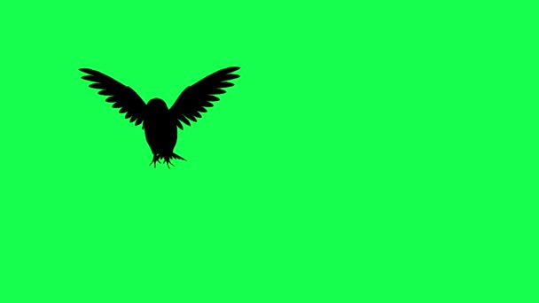 Animación Bandada Aves Volando Pantalla Verde — Vídeo de stock