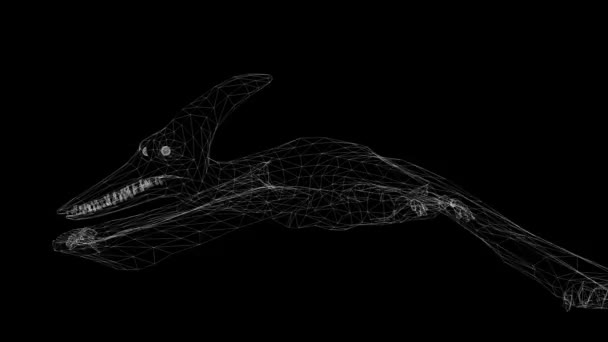 Animación Pterodáctilo Marco Alámbrico Volando Pantalla Negra — Vídeo de stock