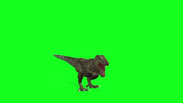 Animatie Dinosaurussen Wandelen Groen Scherm Achtergrond — Stockvideo