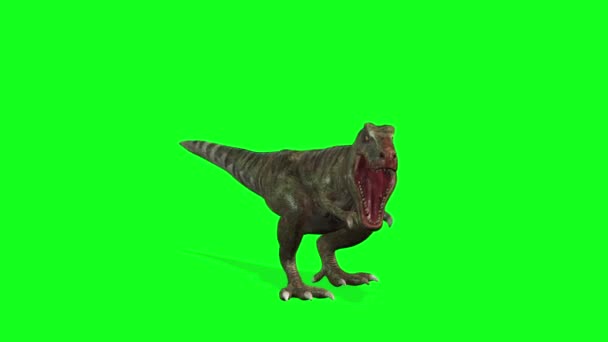Animación Dinosaurios Caminando Sobre Fondo Pantalla Verde — Vídeo de stock