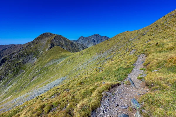 Paisaje con sendero de montaña — Foto de Stock