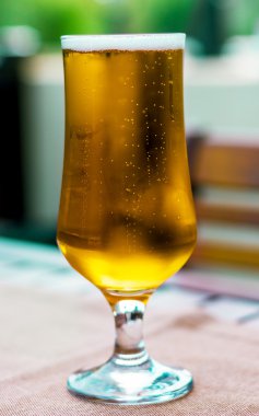 bardak taze döktü bira bir tablo