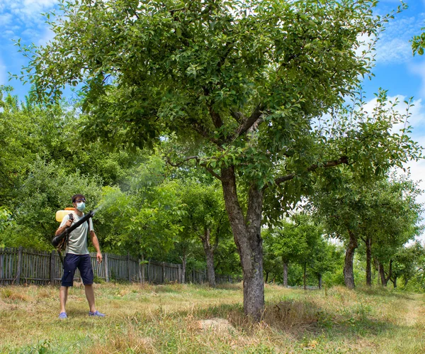 Landwirt besprüht Bäume — Stockfoto