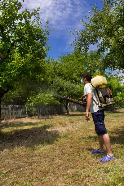 Farmer spraying the trees — Stock Photo, Image