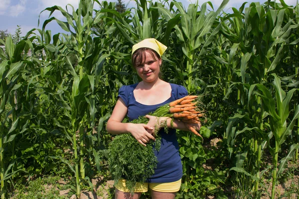 Mujer joven con un montón de zanahorias — Foto de Stock