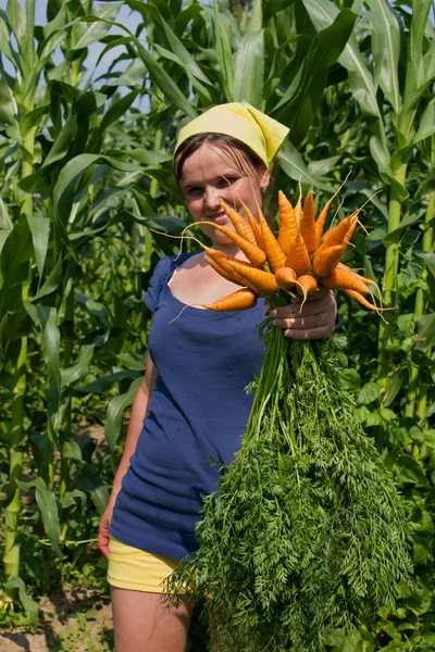 Mujer joven con un montón de zanahorias — Foto de Stock