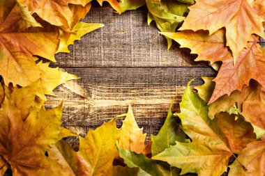 Sonbahar Yaprakları