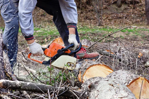 Mann fällt Bäume mit elektrischer Kettensäge — Stockfoto